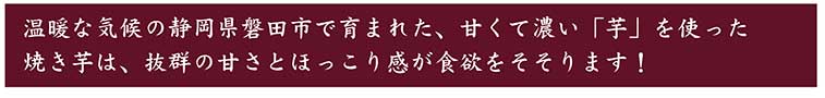 磐田　干し芋　通販